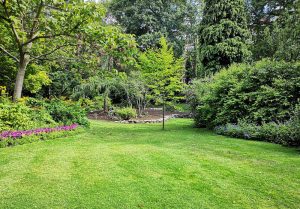 Optimiser l'expérience du jardin à Gontaud-de-Nogaret